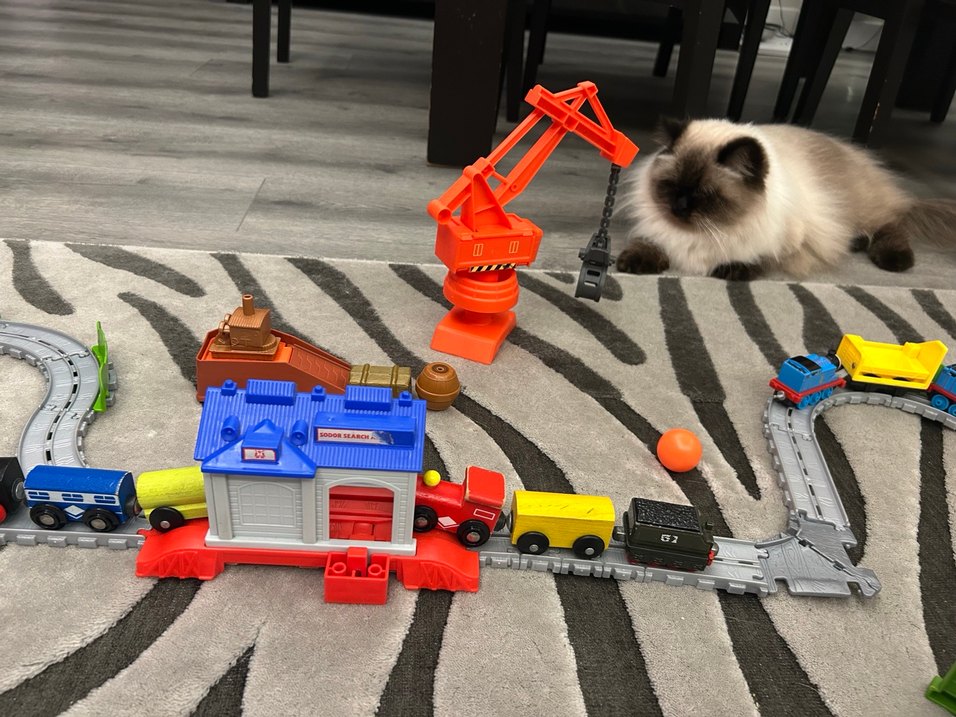 Thomas ray Seti ve Aksesuarları - Görsel 5