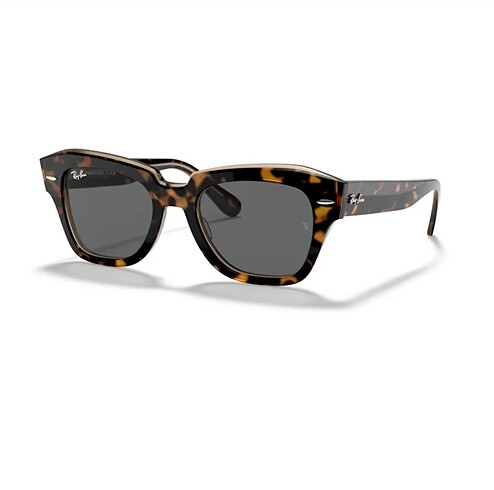 Ray ban güneş gözlüğü