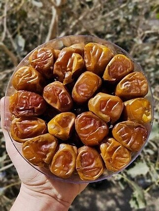 Hurma