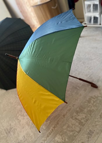 Kadın Çok Renkli Drapeli Gotik Şemsiye - Görsel 4