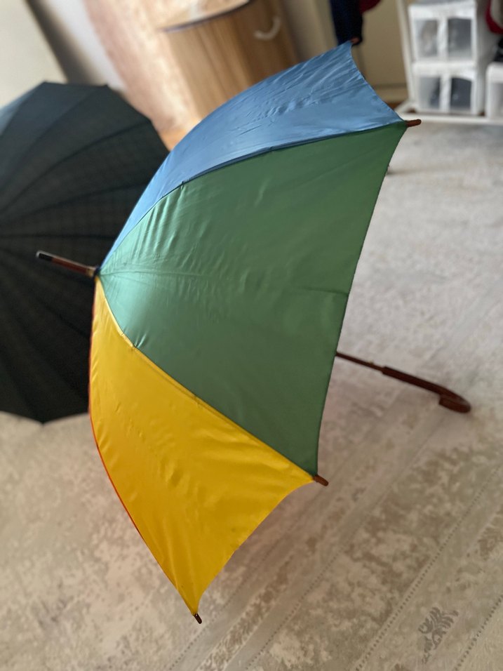 Kadın Çok Renkli Drapeli Gotik Şemsiye - Görsel 4