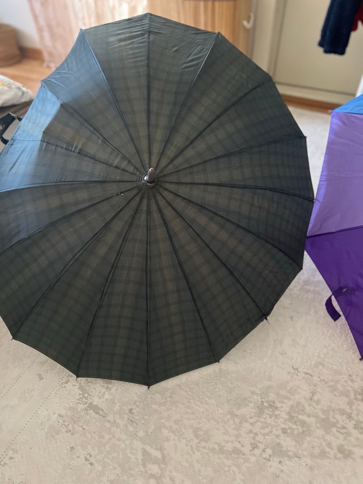 Kadın Çok Renkli Drapeli Gotik Şemsiye - Görsel 3