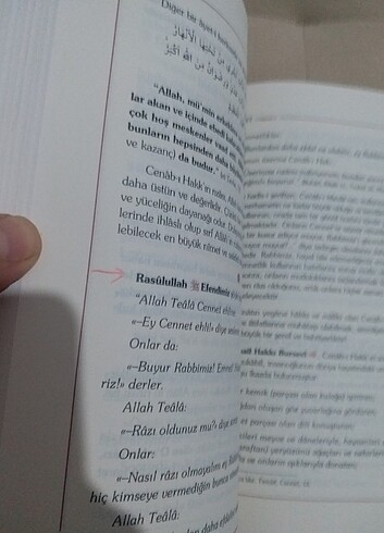 Ebediyet yolculuğu  - Görsel 4