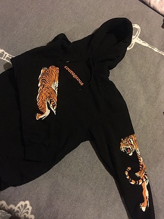 courageous hoodie