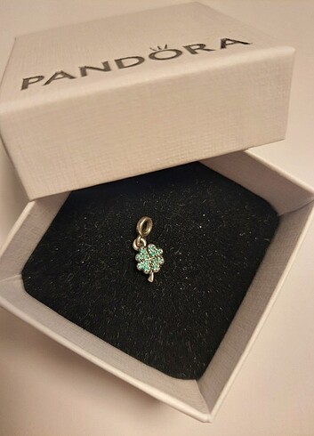 Pandora Pandora charm