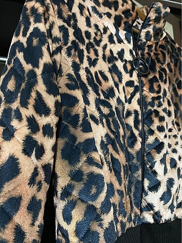 Diğer Leopar mont