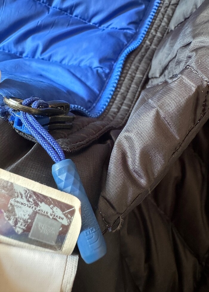 The north face kaz tüyü mont - Görsel 4