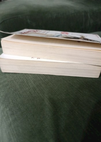 Rachel Gibson'dan Tutkulu Aşk ve Aşk Yeniden - Görsel 3