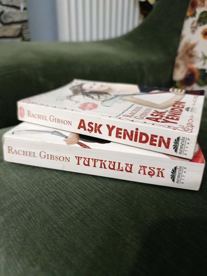 Rachel Gibson'dan Tutkulu Aşk ve Aşk Yeniden - Görsel 2