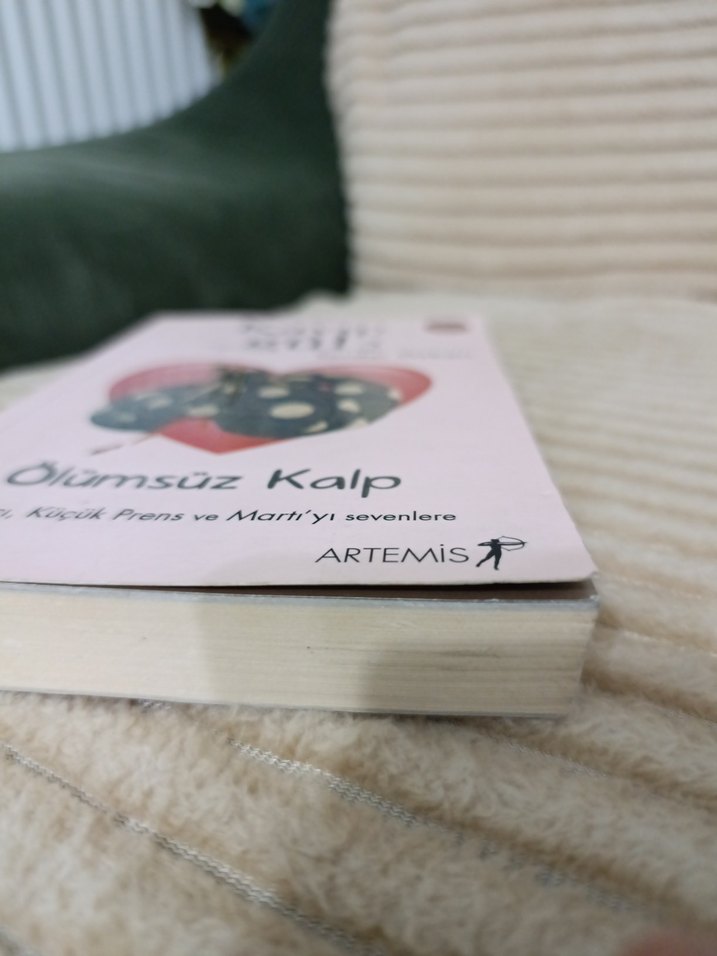 Kayıp Gül 2: Ölümsüz Kalp - Serdar Özkan - Görsel 3