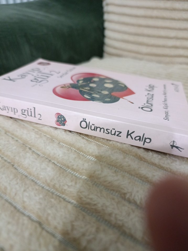 Kayıp Gül 2: Ölümsüz Kalp - Serdar Özkan - Görsel 2