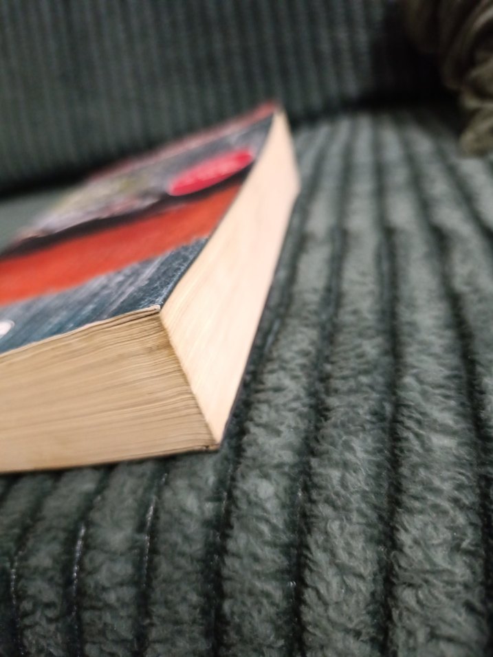 Beden Hırsızı - Anne Rice - Görsel 3