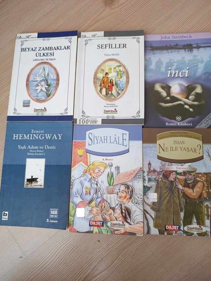 Klasik Çocuk Kitapları Seti - Görsel 2