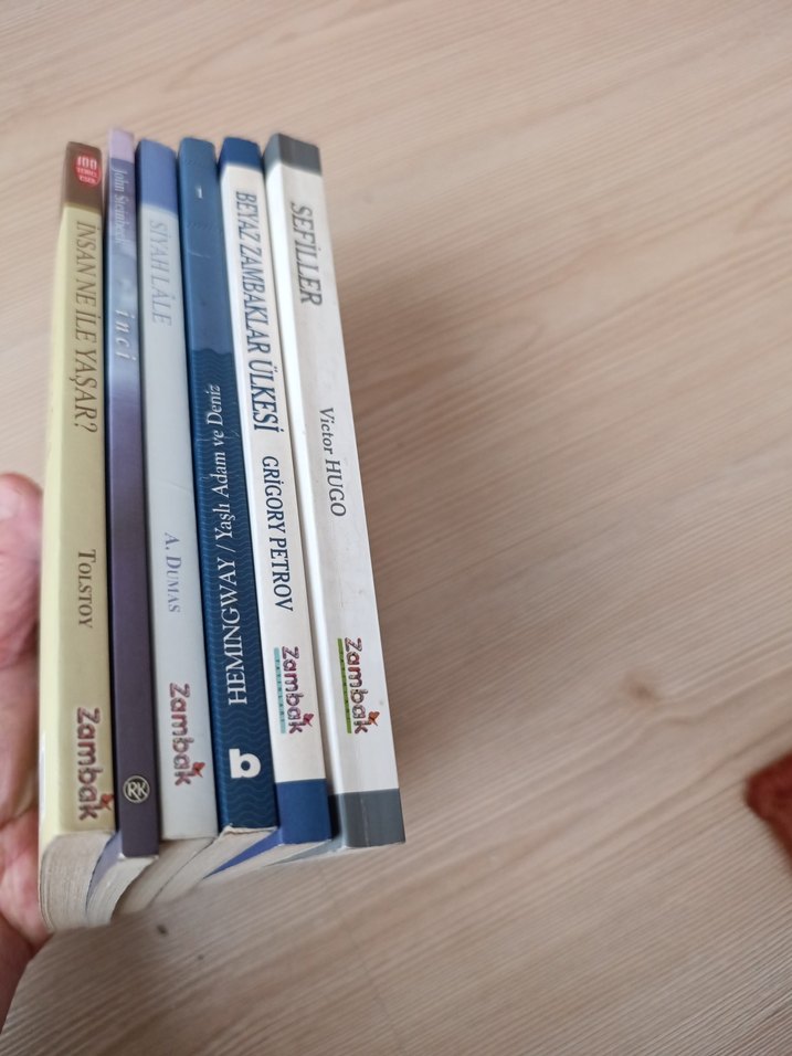 Klasik Çocuk Kitapları Seti - Görsel 3