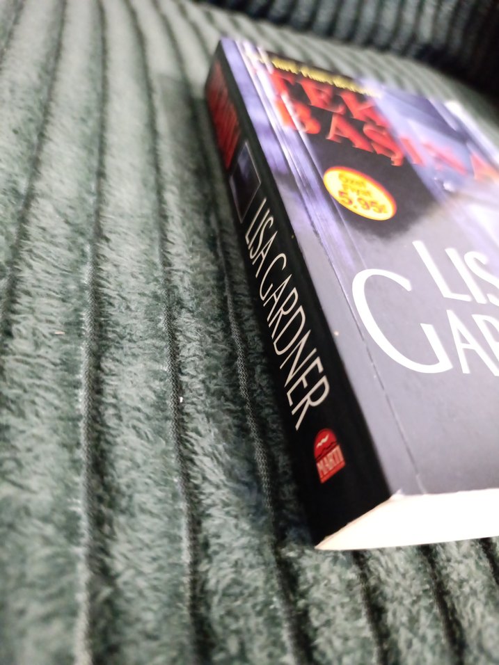 Lisa Gardner - Tek Başına Roman - Görsel 2