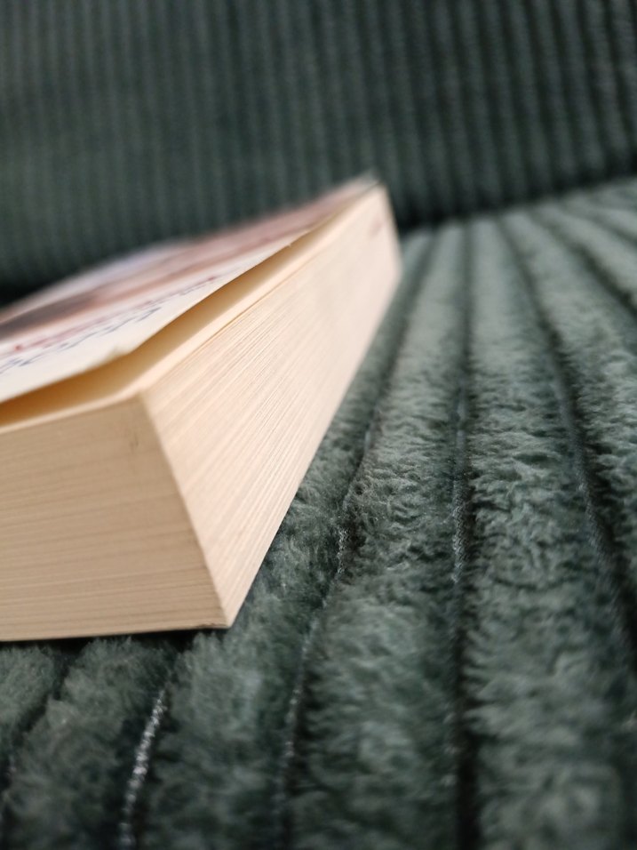 Not Seni Seviyorum - Cecelia Ahern - Görsel 3