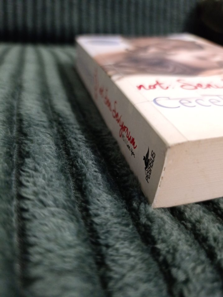 Not Seni Seviyorum - Cecelia Ahern - Görsel 2