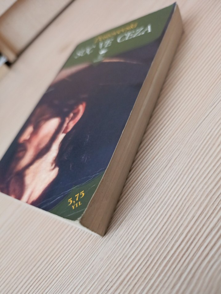 Dostoyevski Suç ve Ceza Romanı - Görsel 4