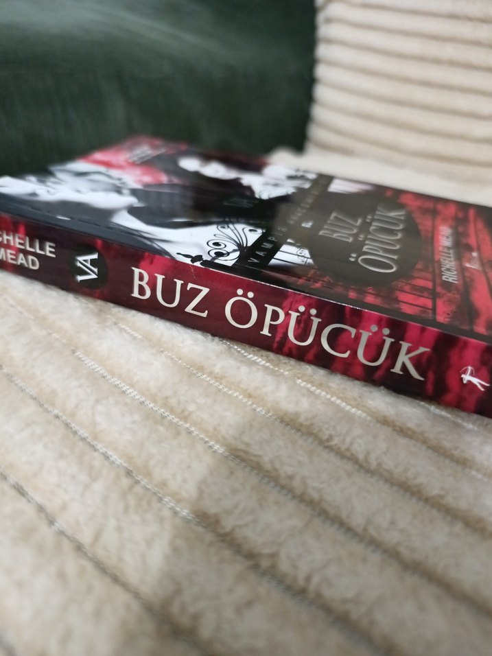 Buz Öpücük - Vampir Akademisi 2 - Görsel 2