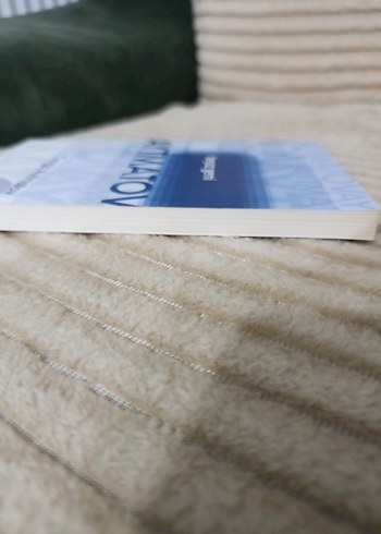 Beyaz Gemi - Cengiz Aytmatov - Görsel 4