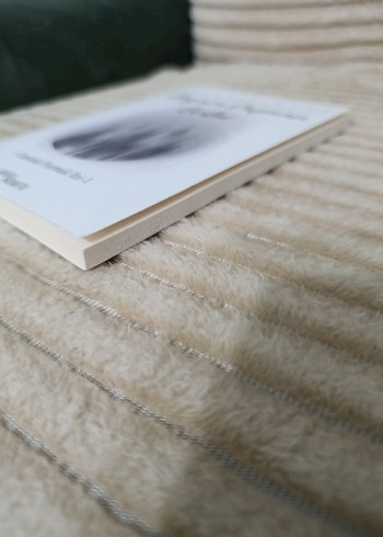 Beyaza Düşman Griler - Muhsin Kaya - Görsel 3