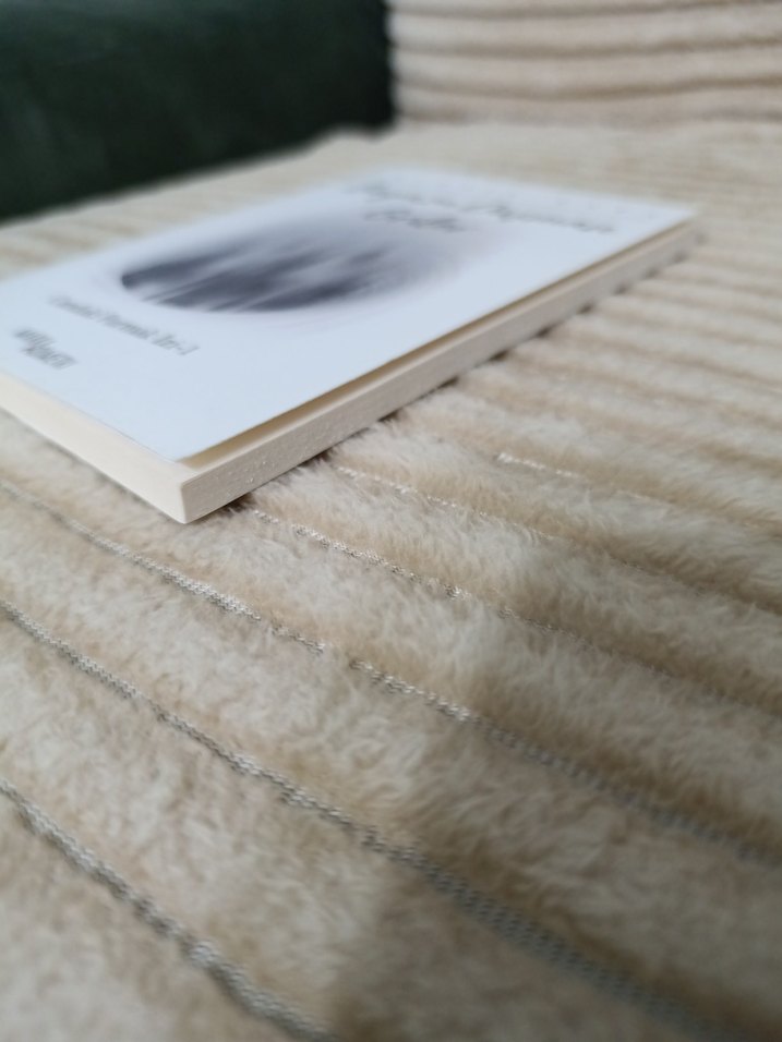 Beyaza Düşman Griler - Muhsin Kaya - Görsel 3