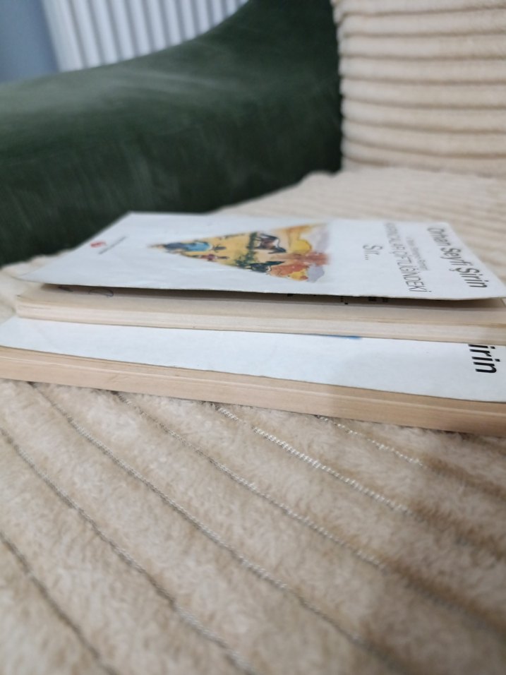 Orhan Seyfi Şirin 2 Kitap Seti - Görsel 4