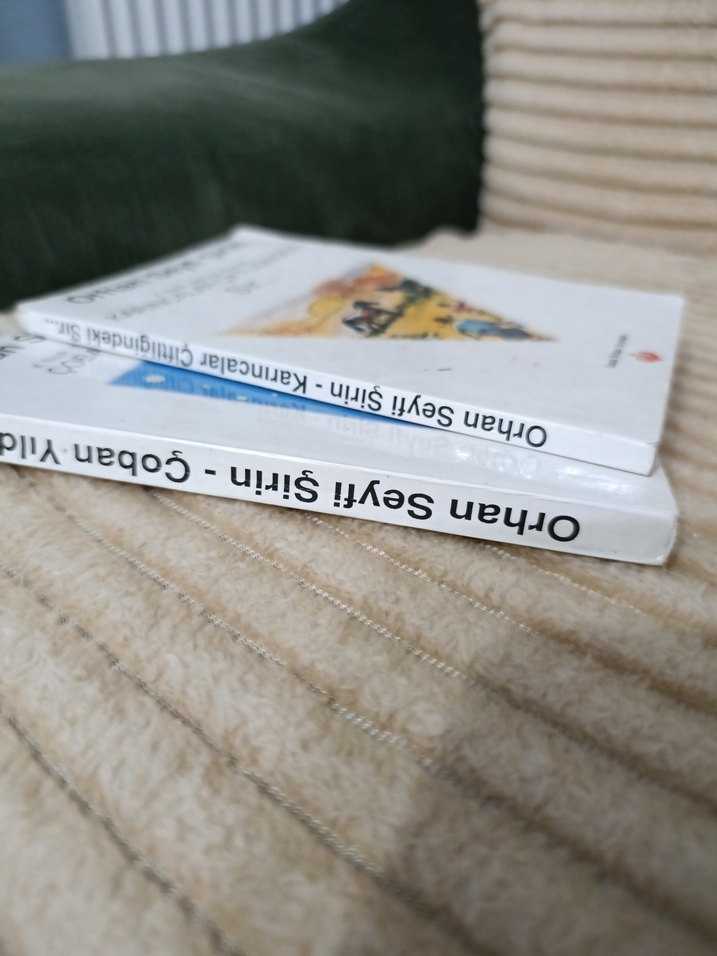 Orhan Seyfi Şirin 2 Kitap Seti - Görsel 3