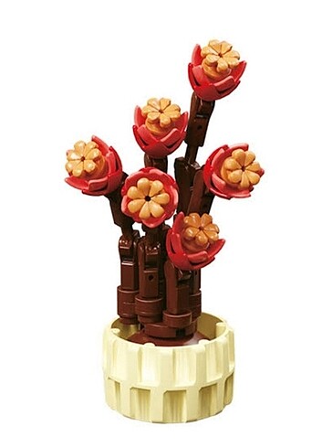 Sukulent lego