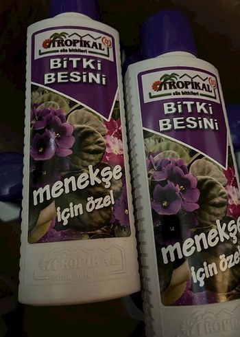 Bitki Besini