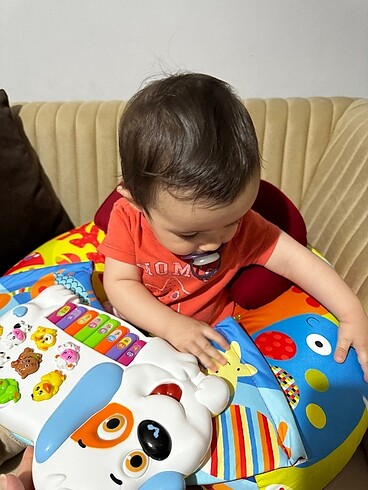 Diğer Bebek oturma koltuğu