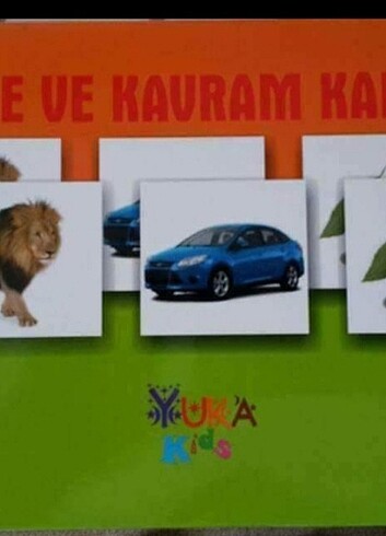 EŞLEŞTİRME VE KAVRAM KARTLARI#fyp