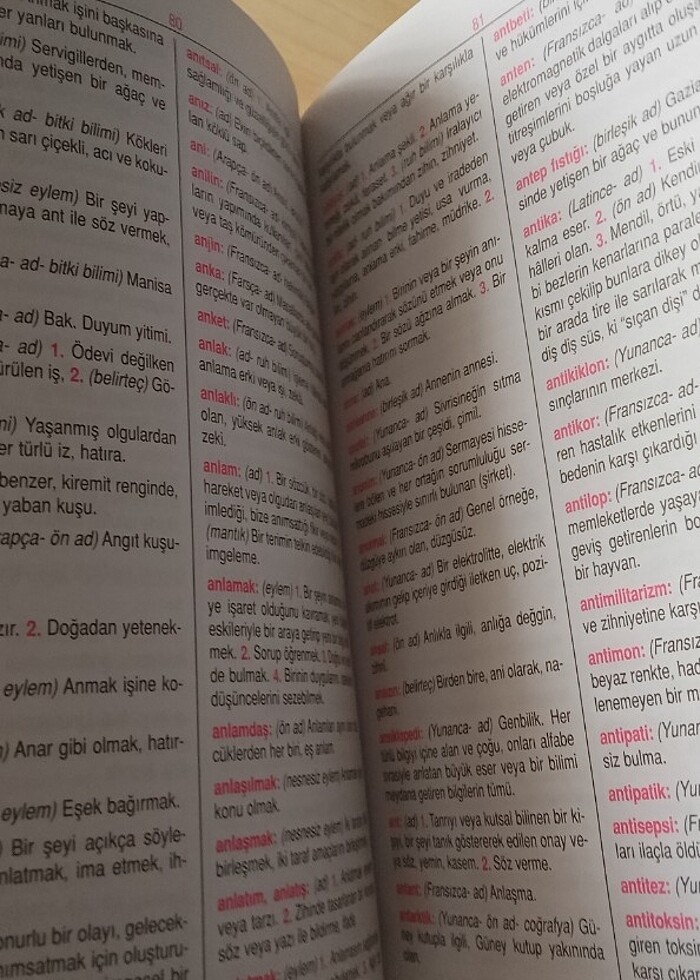 BÜYÜK TÜRKÇE SÖZLÜK #fyp#ders#okul#sözcük#sözlük#türkçe - Görsel 2