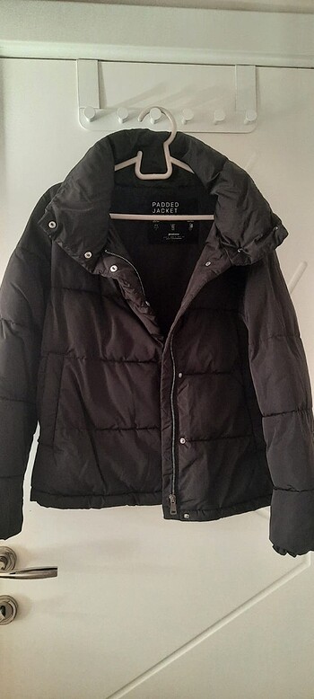 Stradivarius mont