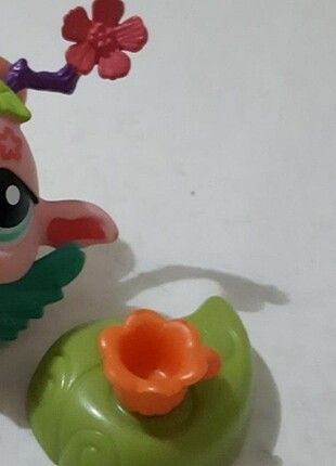 Minis yaprak