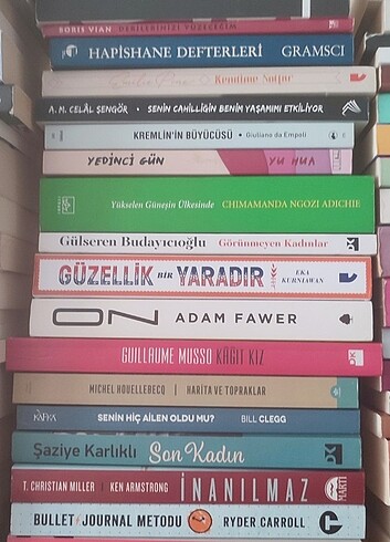 Nitelikli edebiyat...