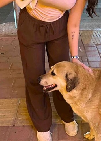 Bershka Beli Lastikli Keten Pantolon - Görsel 2