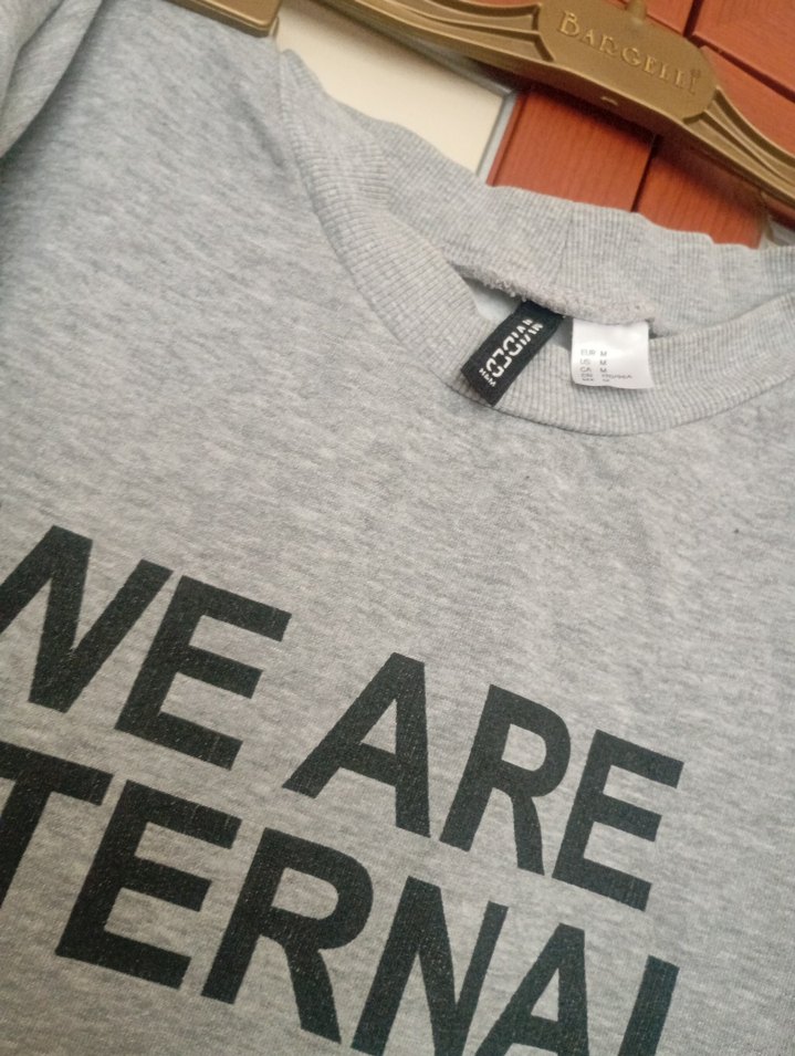 H&M Gri Uzun Kollu Baskılı Kadın Sweatshirt - Görsel 2