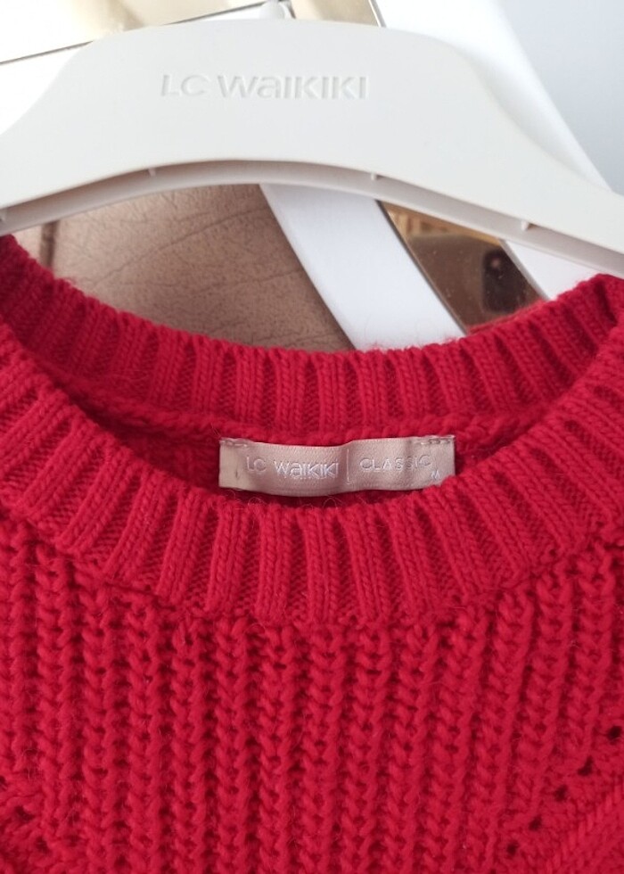 Uzun kazak  - Görsel 2