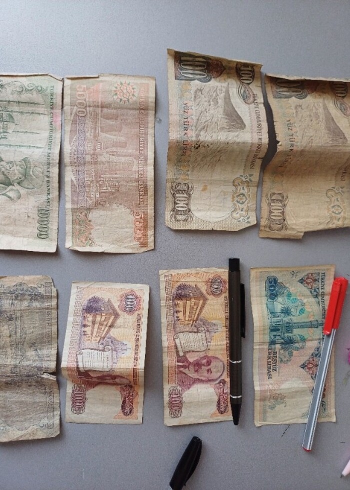 Koleksiyonluk eski paralar - Görsel 3