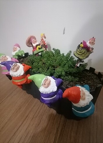 Beden Saksı cücesi adet 30 tl