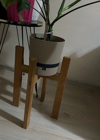Beden Ahşap Ayaklı Gri Saksıda Yeşil Bitki
