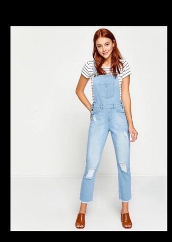 Bağlamalı bahçıvan Kot - Görsel 2