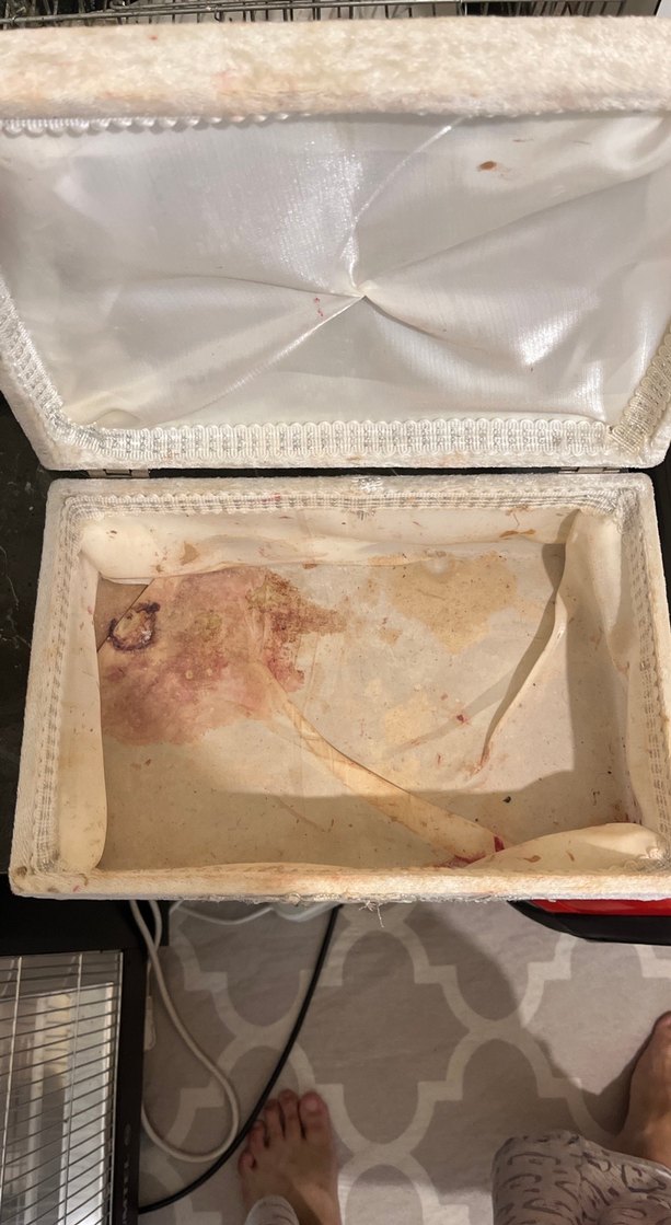 Çiçek Desenli Doğal Sabun - Görsel 3