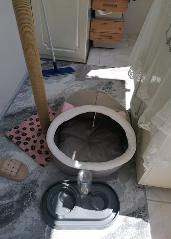 Bej Pastel Kedi Tırmalama Direği evi mama kabı - Görsel 2