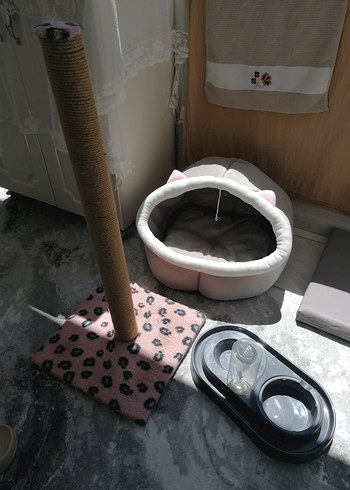 Bej Pastel Kedi Tırmalama Direği evi mama kabı - Görsel 4