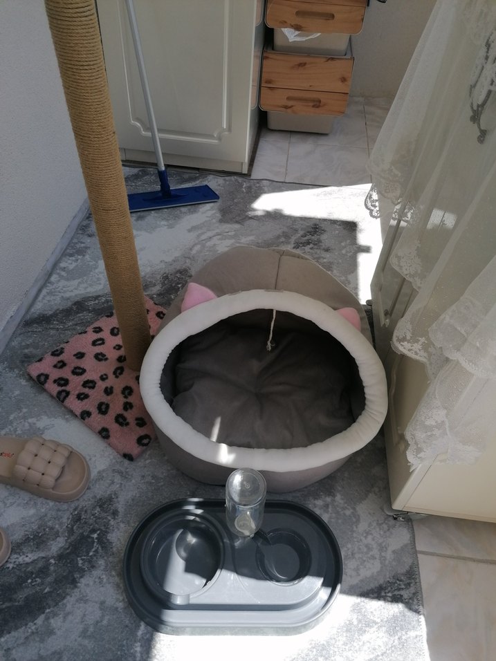 Bej Pastel Kedi Tırmalama Direği evi mama kabı - Görsel 2