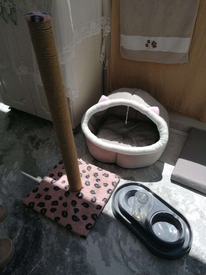 Bej Pastel Kedi Tırmalama Direği evi mama kabı - Görsel 4