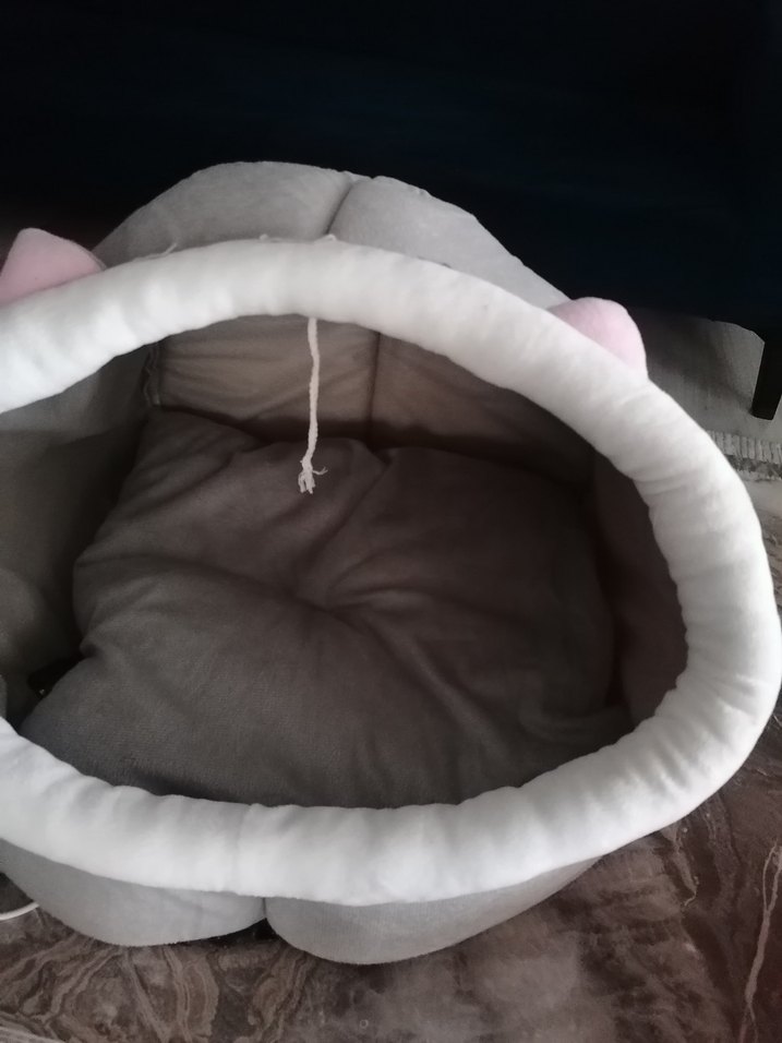 Bej Pastel Kedi Tırmalama Direği evi mama kabı - Görsel 5