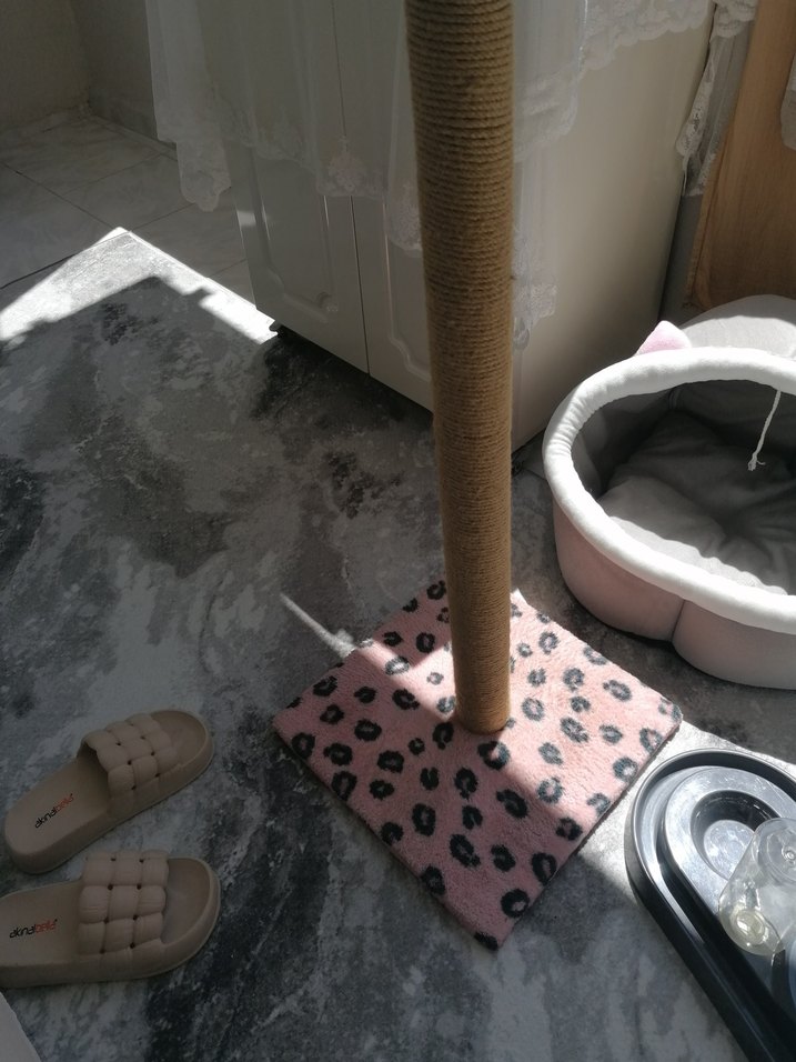 Kedi mazemesi - Görsel 3